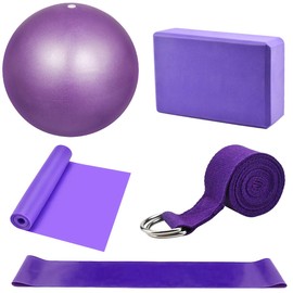 Dokpav Kit de Accesorios para Pilates Set de 5 Bandas Elásticas Fitness,Goma elasticas Musculacion,Bloque de Yoga,Pequeña Pelota de Pilates,Bandas de Resistencia para Yoga,Pilates,Fitness (Morado)