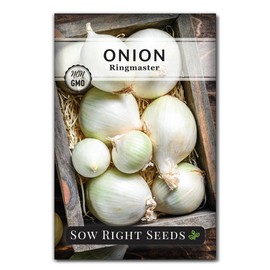 Sow Right Seeds - Ringmaster Onion Seeds for Planting - Non-GMO Heirloom Packet with Instructions to Plant a Home Vegetable Garden - Grow Sweet and Mild Long Day Onions - Kitchen Staple