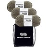 Premier Basix Chunky Knitting Yarn Lichen 1145-35 (3-Pack) Same Dye