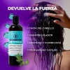 Filip Natural - Shampoo Thuja Y Árnica, Fortalece, 500ml