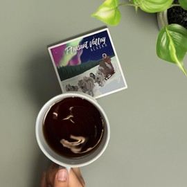 Pleasant Valley, Alaska, Northern Lights, Dog Sled (Absorbent Ceramic Coaster, Single, Cork Back, Kitchen Table Decor)