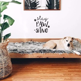 Vinyl Wall Art Decal - Stay Pawsitive - 12" x 10" - Cute Trendy Doggy Paw Fun Decor Home Apartment Bedroom Living Room - Cool Dog Lovers Work Office Business Indoor Outdoor Modern Inspirational Decal