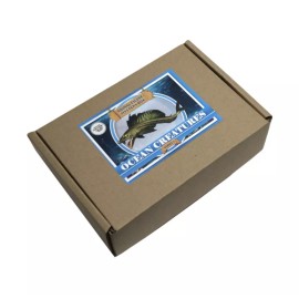 OCEAN CREATURES - Mystery Animal Figure Box - 3 Miniature Figures