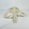 LITOYGAME Large Mandalorian Mythosaur Skull 3D Printed Wall Art Display