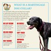 Country Brook Design | Martingale Heavyduty Nylon Dog Collar -