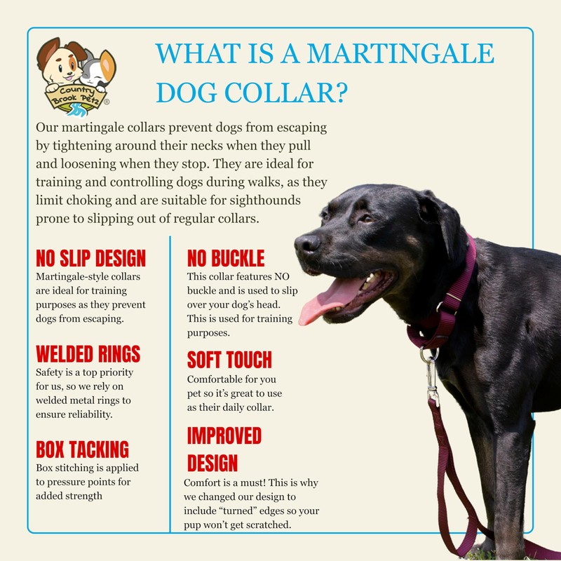 Country Brook Design | Martingale Heavyduty Nylon Dog Collar -