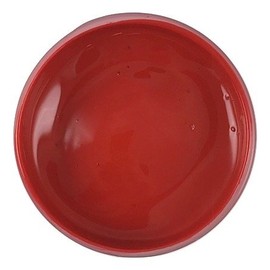 PROfab Transparent Textile Paint 3 oz. (Barn Red)