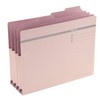 Lion Office Charger 4 Cut 持出si Folders , safety pink