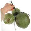 Holibanna 1 Bunch Artificial Coconut Jungle Decorations Fake Coconuts Decoration