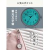 Nursely Simple Carabiner Luminous Watch, Inverted Dial, Nurse Watch, Nurse