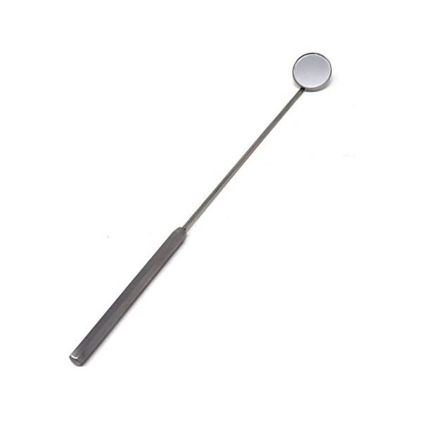 Laryngeal Boilable Hygiene Dental 24mm Mirror with Handle #5, Total