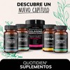 Quotidien | 8 Enzimas Digestivas + 2 Probióticos + 2