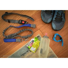 Zenify Hands Free Dog Lead for Running, Walking, Hiking, Canicross Dual Handle Comfortable Waist Belt Leash Band Reflective Stitching Adjustable Bungee Length Extendable 125cm - 190cm (Grey/Blue)