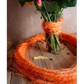Wired Sisal Twine - 10 Meters (Orange.sXA)