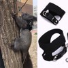 3 Pack Squirrel Harness and Leash Set - Adjustable Traction
