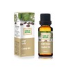  Castor Oil, %100 Castor Oil, Ricinus communis, 20 mL
