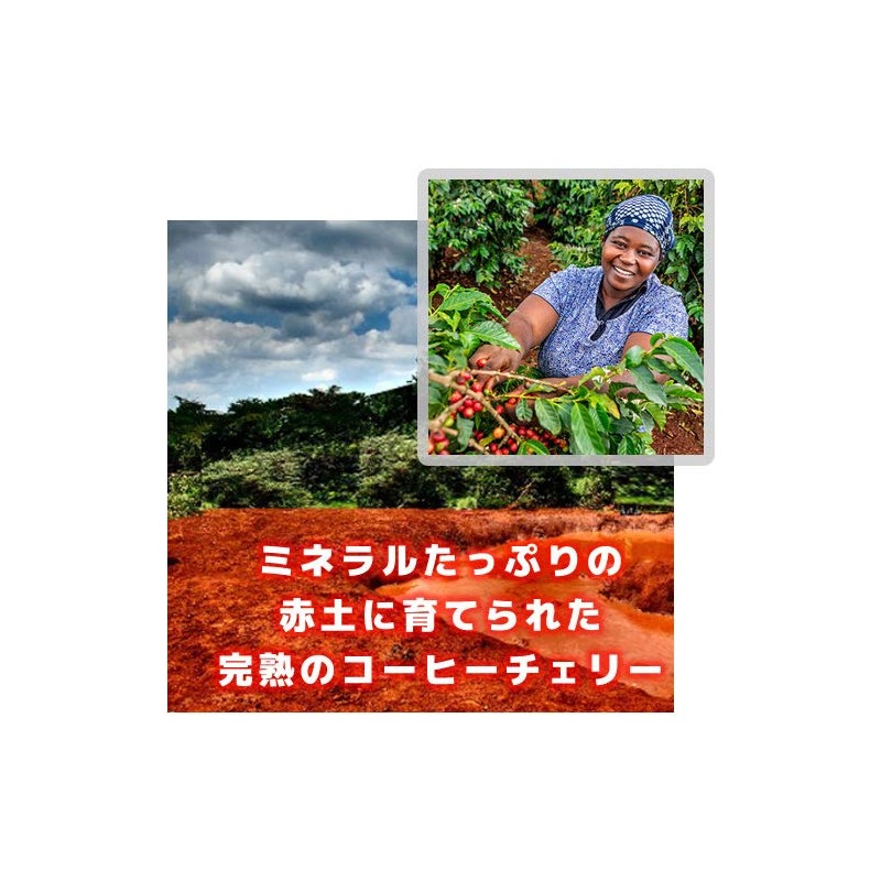 Coffee Raw Beans Red Mountain Kenya Galaxy Coffee (600g)
