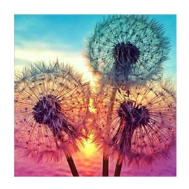 DIY 5D diamond painting kits flower sunny dandelion painting by numbers 5D diamond painting full rhinestone embroidery cross stitch pictures arts craft with painting accessories for home wall decor 30 x 30 cm