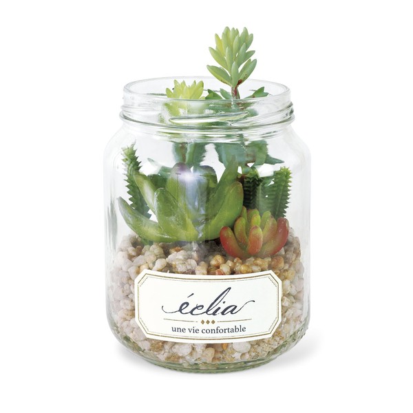 Kishima KH-61022 Fake Green, Cactus, Serged Planting, Glass, Eclea, Deodorizing,