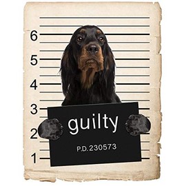 Gordon Setter Dog Mugshot Bad Dog Car Bumper Magnet, Magnetic for Refrigerator, Decorative Fridge, Office, Whiteboard, Kitchen, Locker Waterproof Decor, Family & Friends, 4x7 in