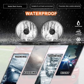 Nixon Offroad Fog Light Set for 99-01 Dodge Ram 1500/99-02 Dodge Ram 2500 3500 4000 Pickup w/Bulb, OEM Bumper Driving Truck Fog Light Lamps Assembly, Fog Lamp Replacement - 896 12V 37.5W Clear Len