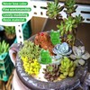 EKisemio 50 Pcs Mini Frog Garden Decor | Green Frog