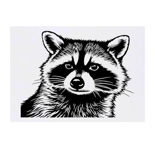'Raccoon Front View' Temporary Tattoo - Water Resistant, Skin-Safe, Non-Toxic