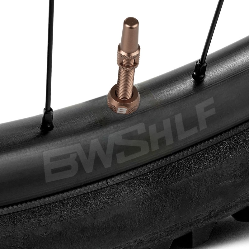 BWSHLF Tubeless Presta Valve Stem 40/44/55/60/65/70/80/100 mm, Super Light Aluminum,