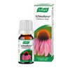 A.Vogel Echinaforce Echinacea Drops | Relieves Cold & Flu Symptoms