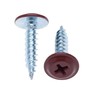 4.2mm x 19mm Wafer Head Self-Tapping Phillips Screws for Sheet