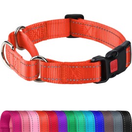 Joytale Martingale Collar for Dogs, Reflective Heavy Duty for Safety, Quick Release Buckle, Adjustable Nylon Collars for Puppy and XSmall Dogs Walking Training, Orange,XS