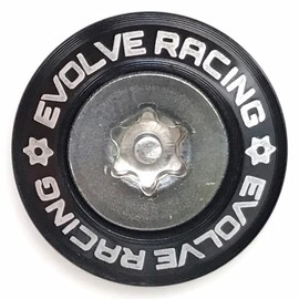 EVOLVERACING Anti-Theft Bolt Set for License Plate Specific Vehicle Inspection (Black, Bolt Length 0.6 inch (15 mm)