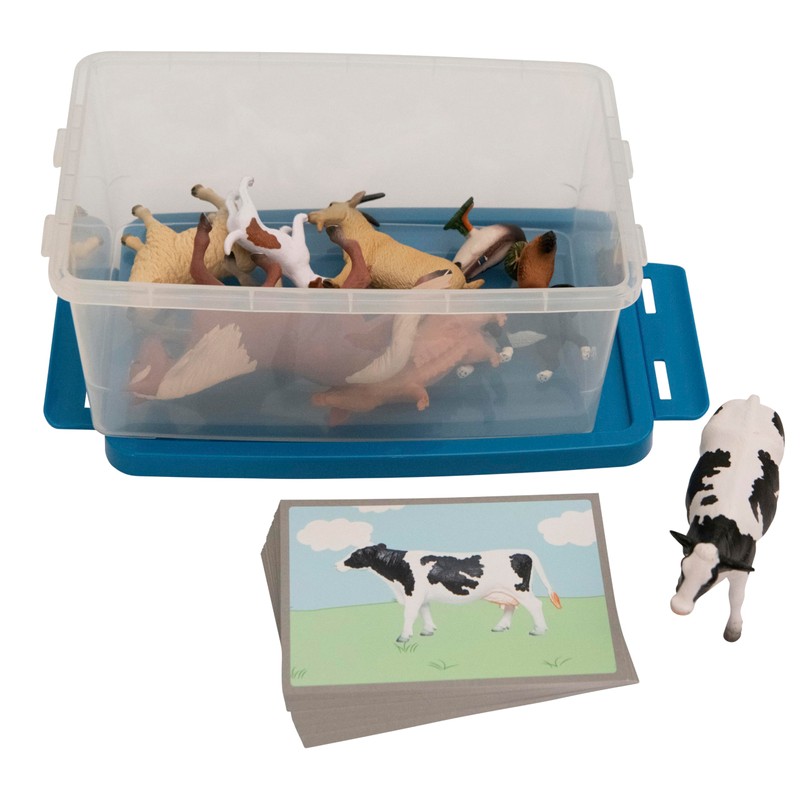 Betzold - Assigning Animals - Order Game Basic School