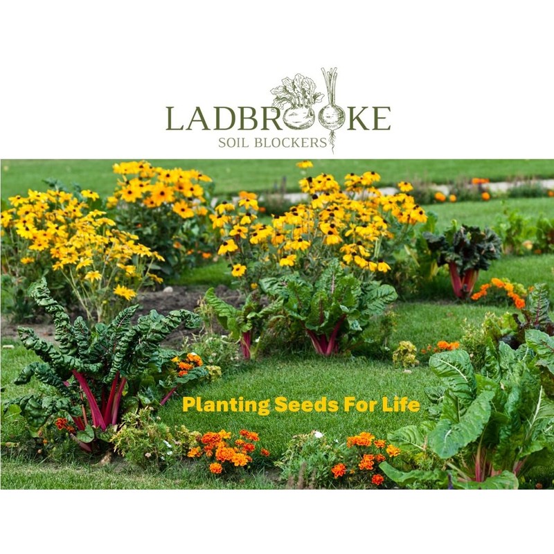 Ladbrooke Genuine Soil Block Maker - Mini 5 Hand Held,