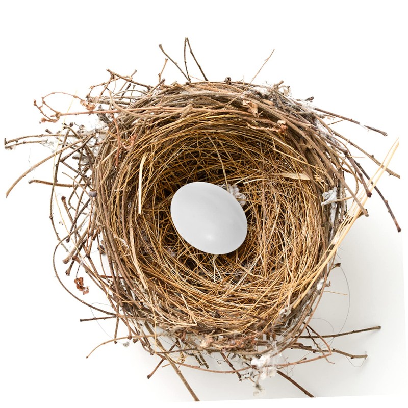 VICASKY 10pcs Large Realistic Fake Bird Eggs Simulation Solid Bird