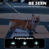 PetBonus 5 FT LED Dog Leash, Rechargeable Light Up Rope