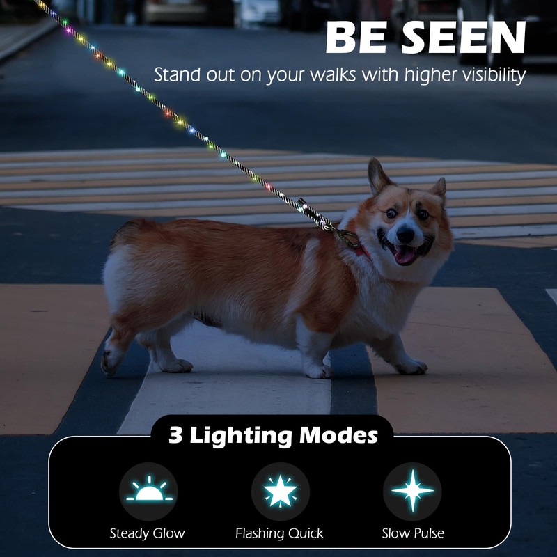 PetBonus 5 FT LED Dog Leash, Rechargeable Light Up Rope