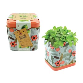 BUZZY Seeds Holiday Mint Square Tin Grow Kit | Mint 2-Pack | Guaranteed to Grow | Best Indoor-Outdoor Holiday Gifts, Favors for Events, Parties | Grow Your Own Herb Starter Kit for Kids & Adults