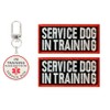 Service Dog in Training Patch 2 Pcs, in Training Tag