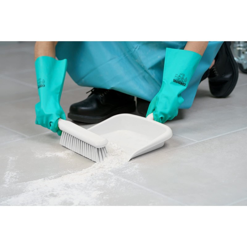 SPARTA Large Handheld Dustpan with Hanging Hole, Heavy-Duty Plastic Dustpan