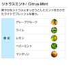 Citrus Mint 100ml Aroma Blend Incent Essential Oil 100ml