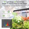 DRYADES Indoor Herb Garden Kit, Hydroponic Growing System with LED
