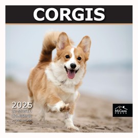 MICASA Corgis 2025 Wall Calendar 12 Month | 12" x 24" Open | Thick & Sturdy Paper | Giftable | Calendar 2025