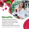 FEEL GOOD Feelgood Superfoods Fortified Organic Beetroot Powder - Nitric