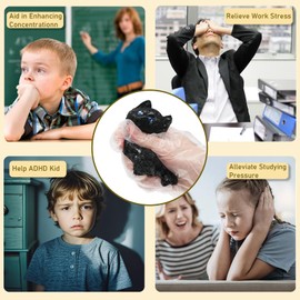 Squishy Cat Squishies Toy, Cute Cat Squeeze Toys, Furry Squishy Animal Relief Stress Ball with PVC Packaging Gifts Fidget Novelty Toy for Kids Adults (Black)