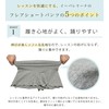 eballerina Ballet Shorts Flare Bottoms Std (Standard) Made in Japan,