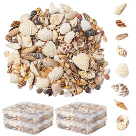 Ira Pollitt Tiny Natural Mixed Ocean Sea Shells Tiny Miniature Beach Critter Seashells Variety Beach Decor Crafts for Arts & Crafts Projects, Home Decoration,Fish Tank Vase Fille (4 Pack), 500pcs