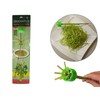Morning Glory Separator Water Spinach Slicer Morning Glory Slicer Chinese