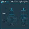 Cash Acme 3/4 Inch EB75 FPT x FPT Pressure Regulator
