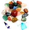 GeoFossils Mixed Bag Tumblestones 100grms with Organza Bag